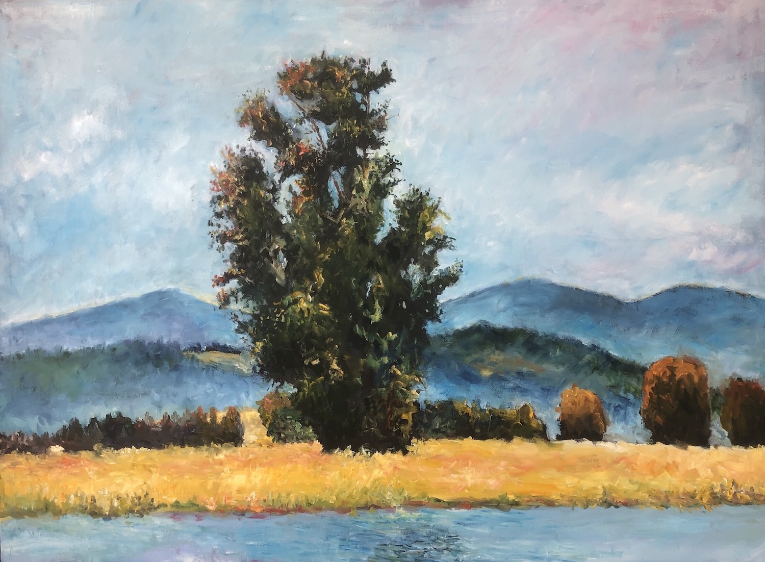 Couer d'Alene River - LR Montgomery